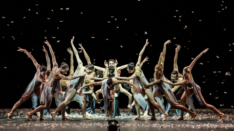 Murmuration | Copyright: © Wiener Staatsballett/Ashley Taylor