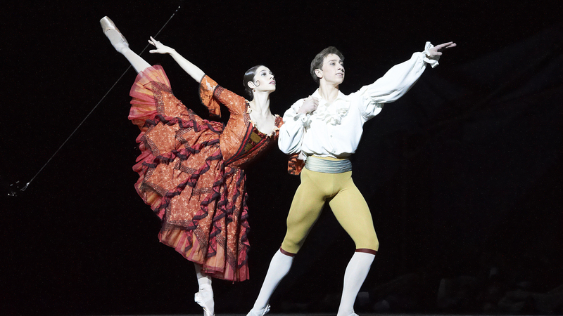 DVD + Blu-Ray: Rudolf Nureyev's Don Quixote – IMZ International