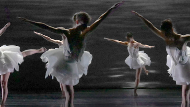 Swan Lake | Copyright: © Elzevir Films