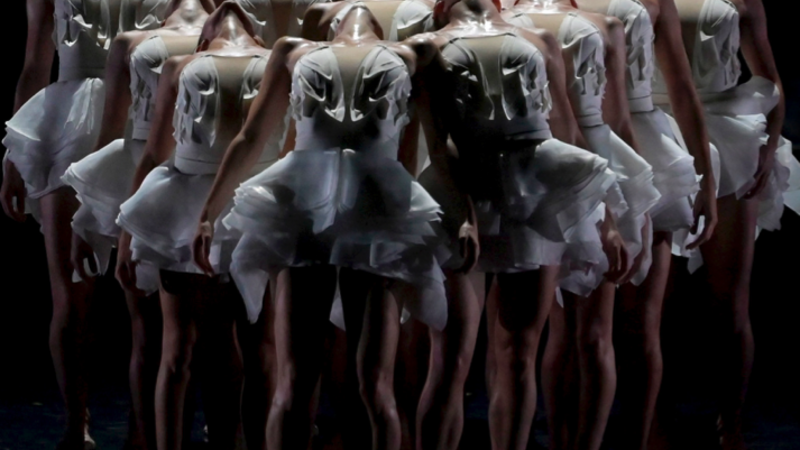 Swan Lake | Copyright: © Elzevir Films