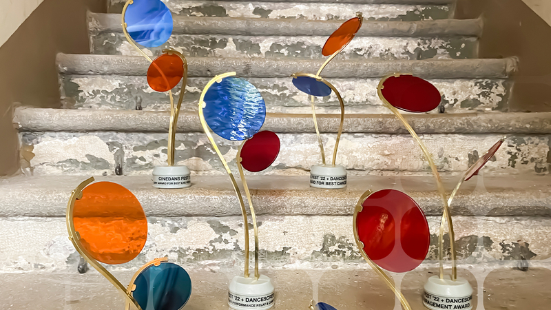 Icon_Award | Copyright: © Martijn Staatsman