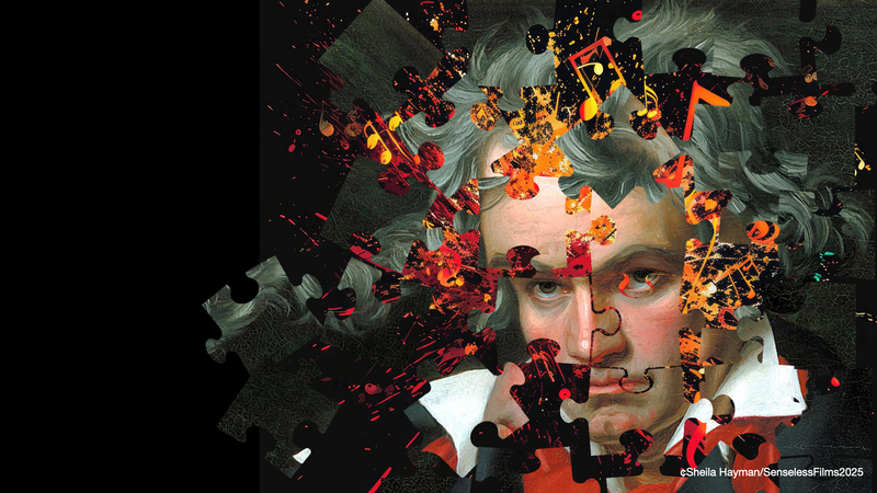 Pieces of Beethoven | Copyright: &copy; Sheila Hayman